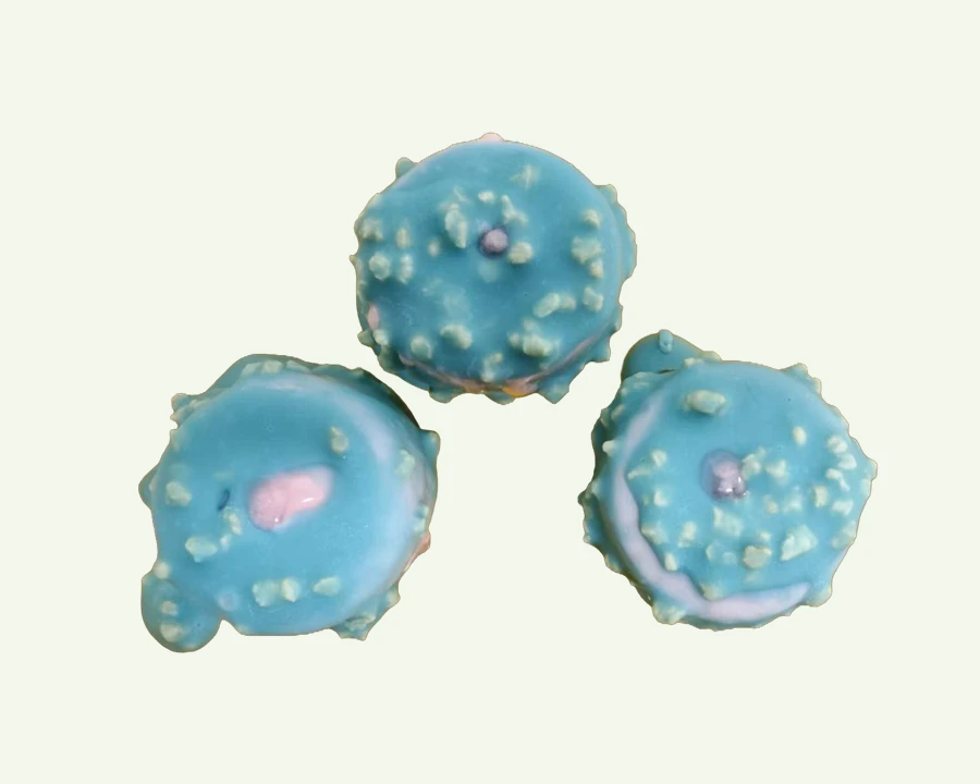 Raspberry Chocolate Bites