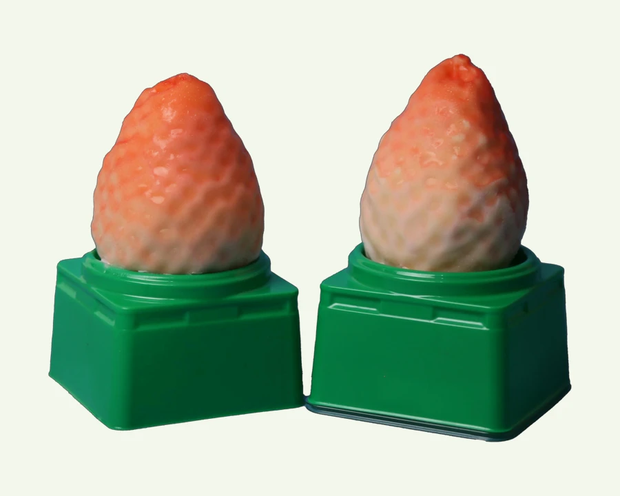 Strawberry 3D Ice Cream